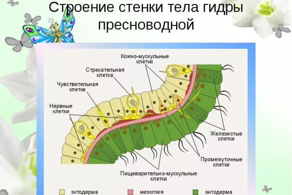 Актуальный домен кракена