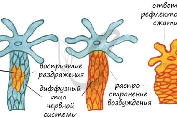 Кракен онион ссылки