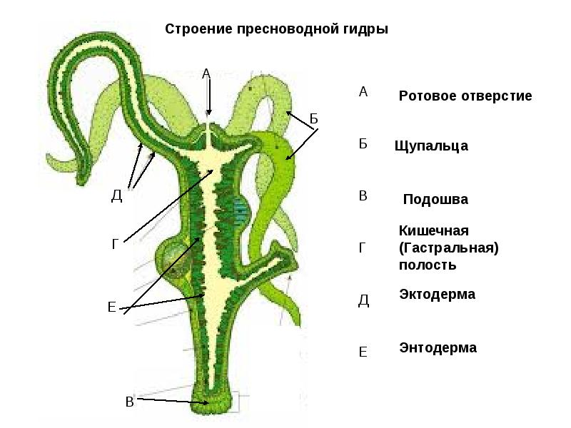 Кракен сайт зеркало рабочее