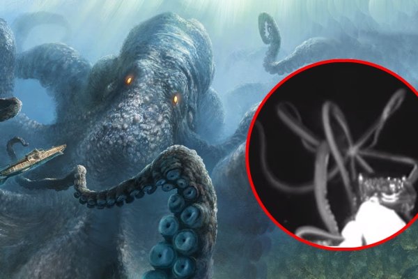 Современный маркетплейс kraken door